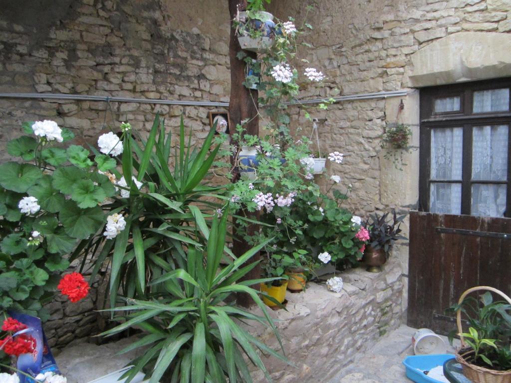 Chambres, Table D'Hotes Et Gites Les Mesanges Saint-Jean-de-Sauves المظهر الخارجي الصورة